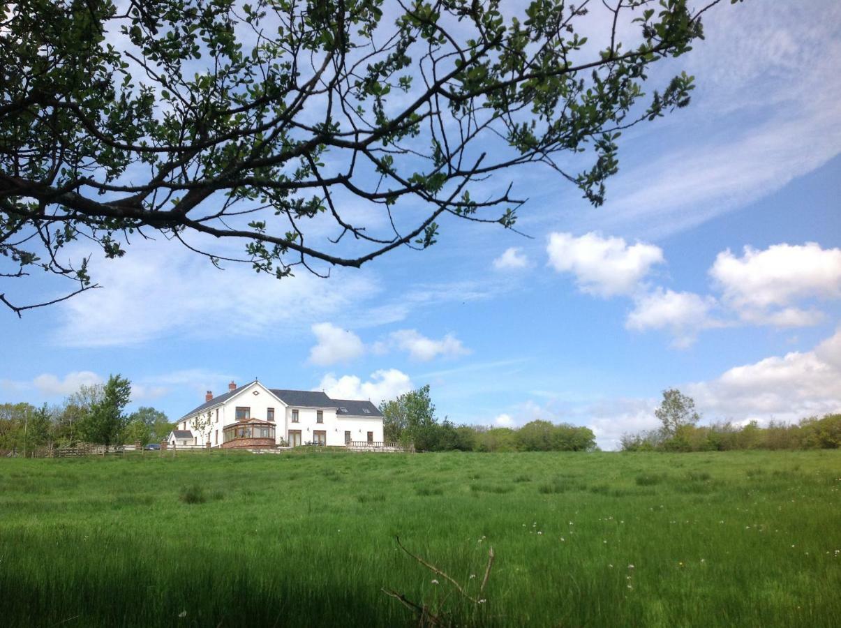 Penddaulwyn Uchaf Farm # Carmarthenshire Apartment Nantgaredig Exterior photo