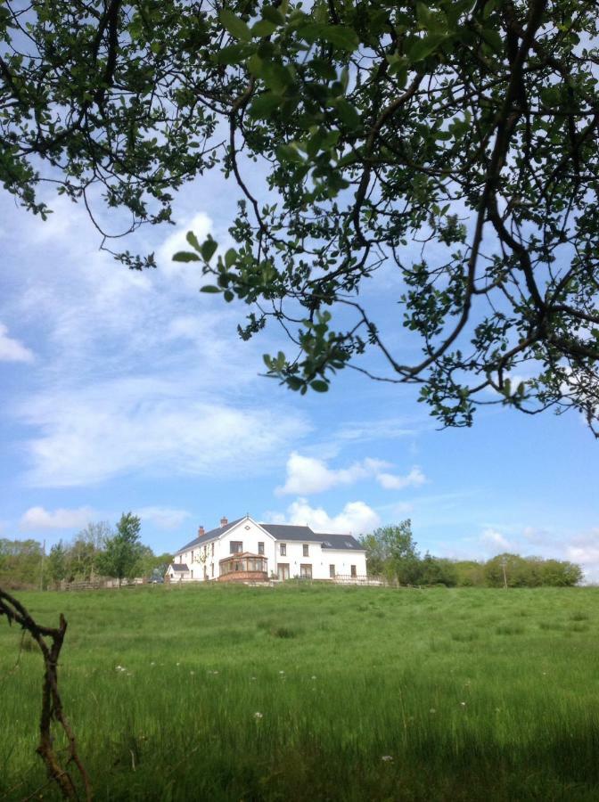 Penddaulwyn Uchaf Farm # Carmarthenshire Apartment Nantgaredig Exterior photo